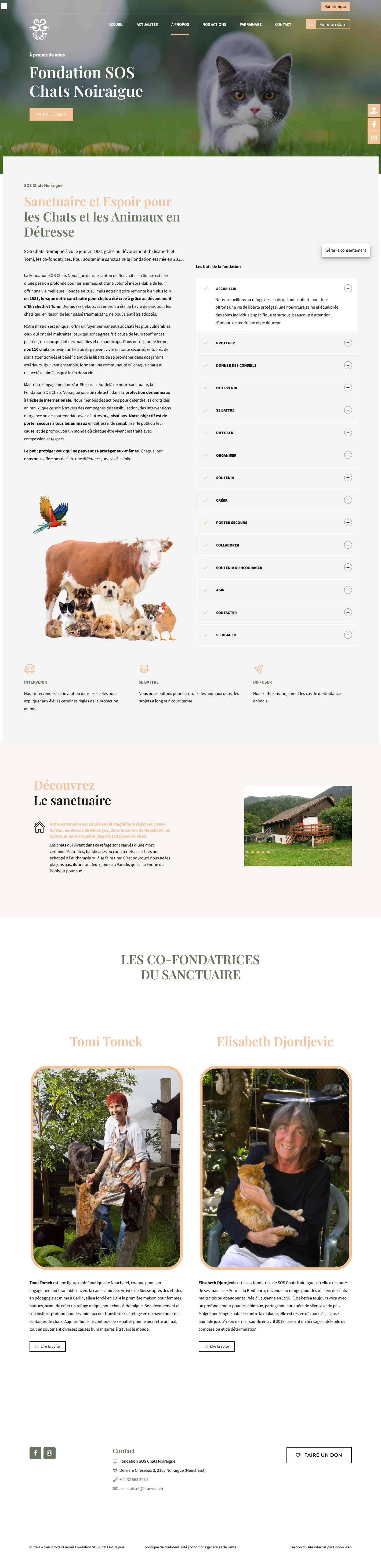 Capture du projet sos chats